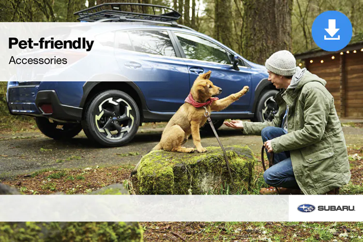 Pet-Friendly Accessories Subaru Brochure cover image