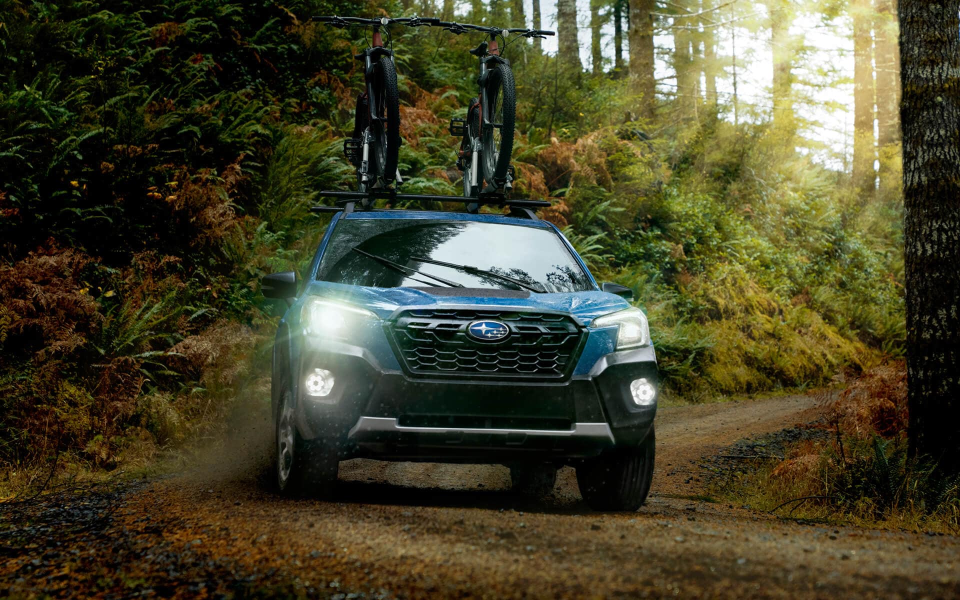 The 2022 Subaru Forester Wilderness driving down a winding forester road, with mountain bike mounted on the roof racks