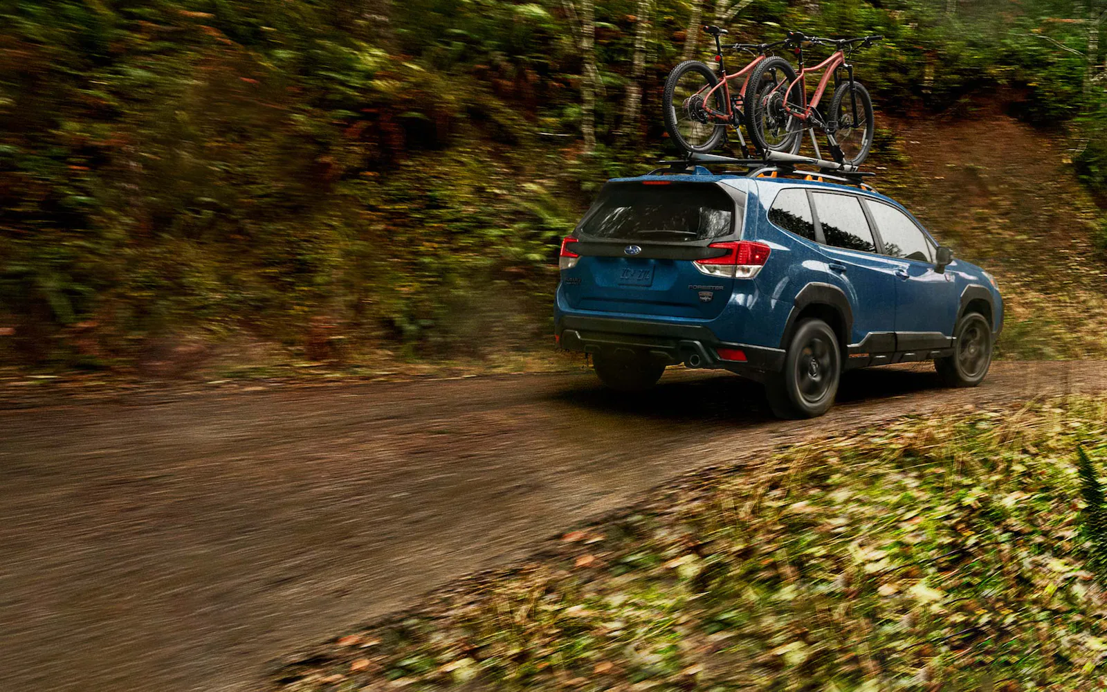 A 2022 Subaru Forester Wilderness on a forest road with roof bike rack.